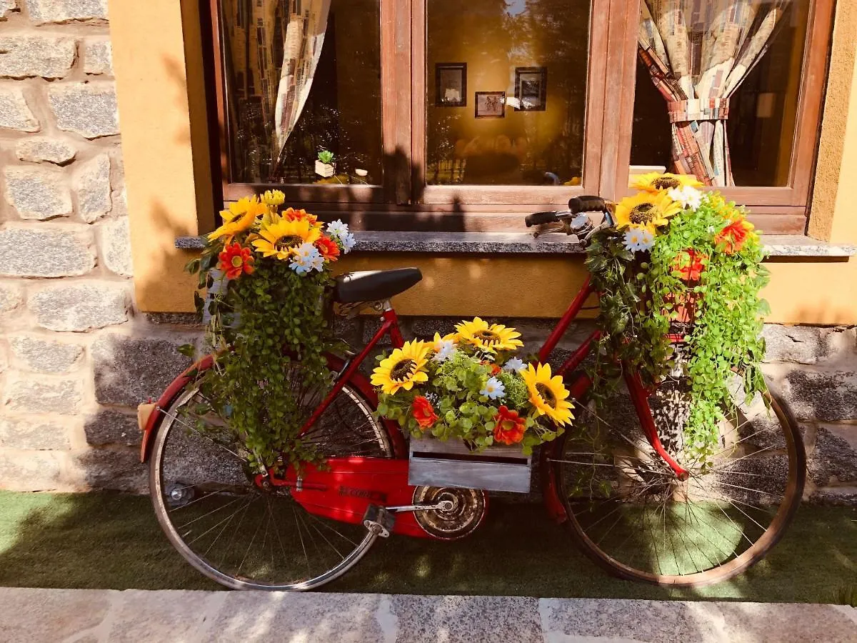Paradiso della Bici Morbegno Italia